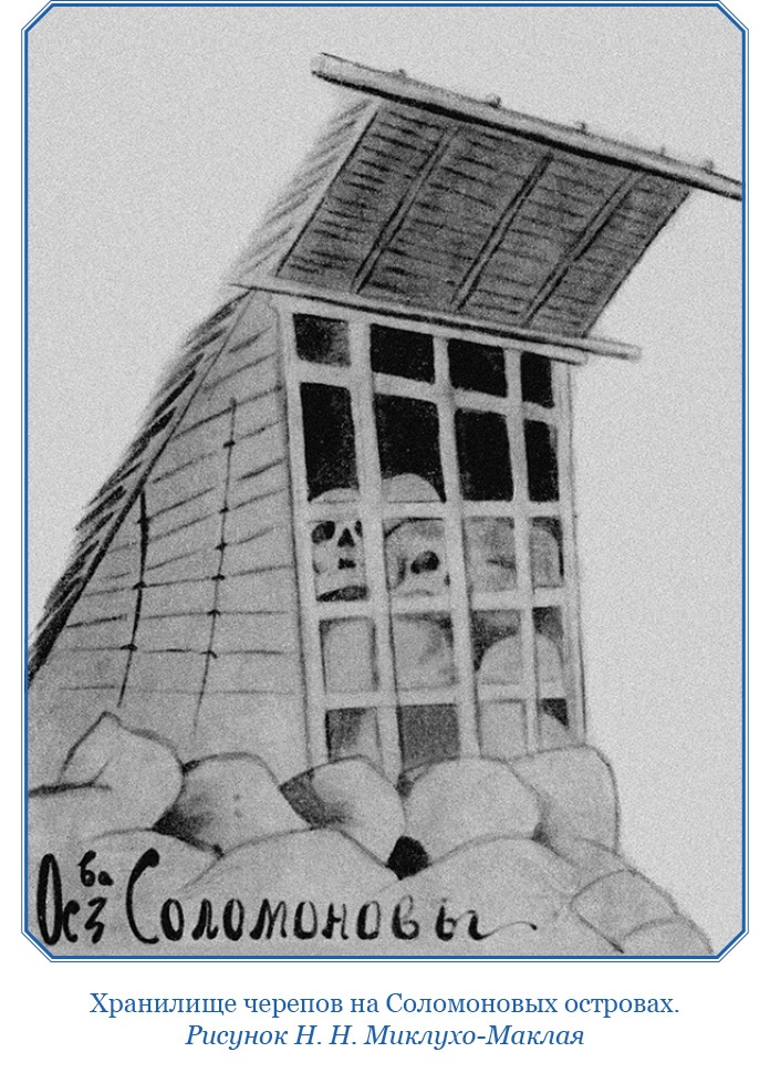 Иллюстрация к книге — Путешествие на берег Маклая [i_112.jpg]