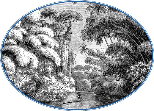 Иллюстрация к книге — Путешествие на берег Маклая [i_113.jpg]