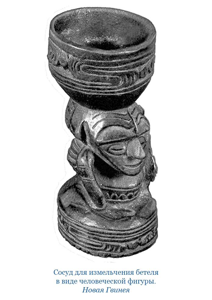 Иллюстрация к книге — Путешествие на берег Маклая [i_116.jpg]