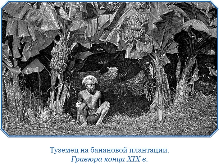 Иллюстрация к книге — Путешествие на берег Маклая [i_119.jpg]