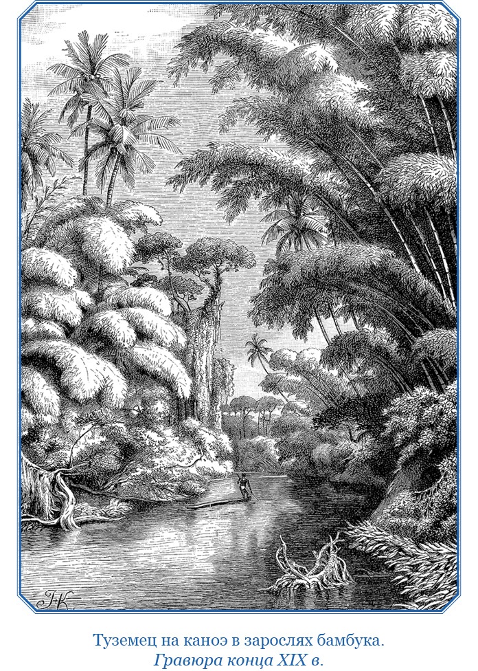 Иллюстрация к книге — Путешествие на берег Маклая [i_121.jpg]