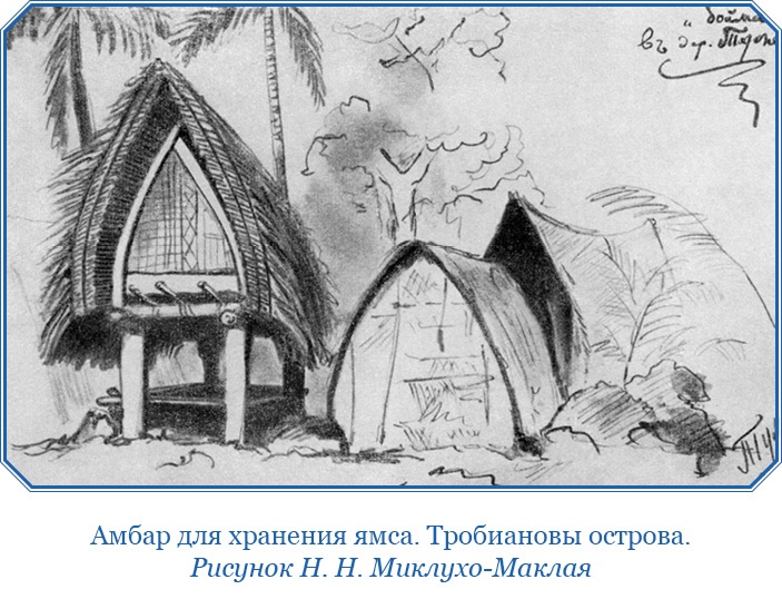 Иллюстрация к книге — Путешествие на берег Маклая [i_122.jpg]