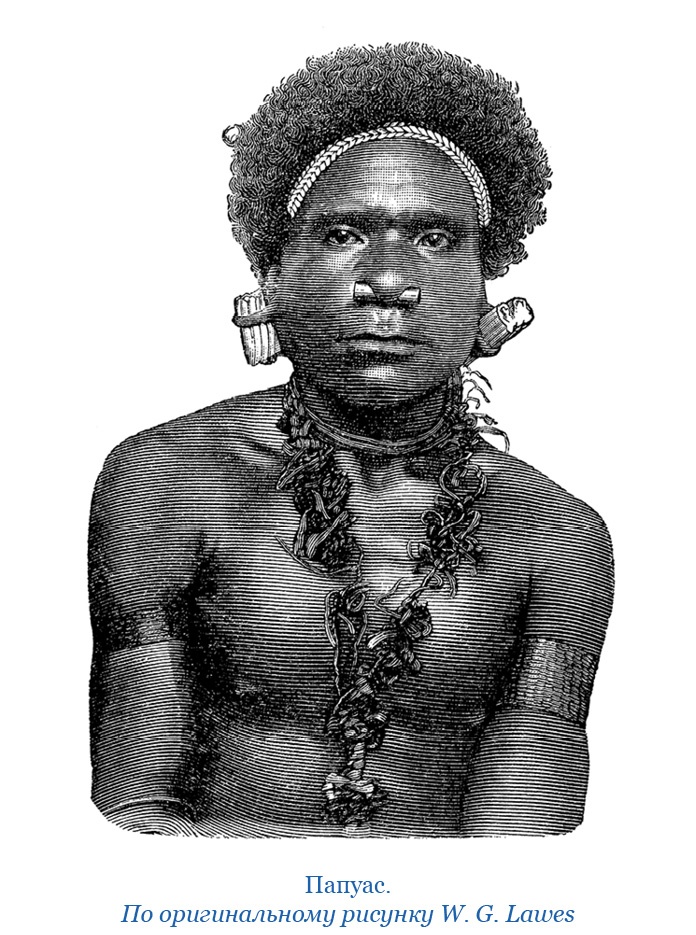 Иллюстрация к книге — Путешествие на берег Маклая [i_130.jpg]