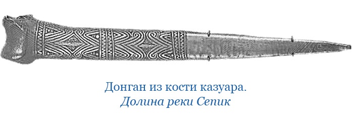 Иллюстрация к книге — Путешествие на берег Маклая [i_145.jpg]