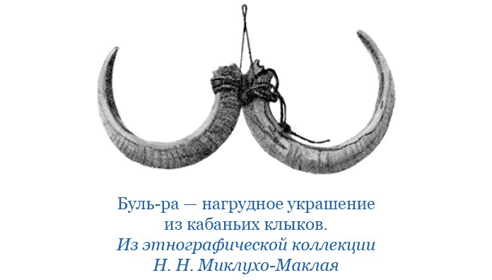 Иллюстрация к книге — Путешествие на берег Маклая [i_146.jpg]