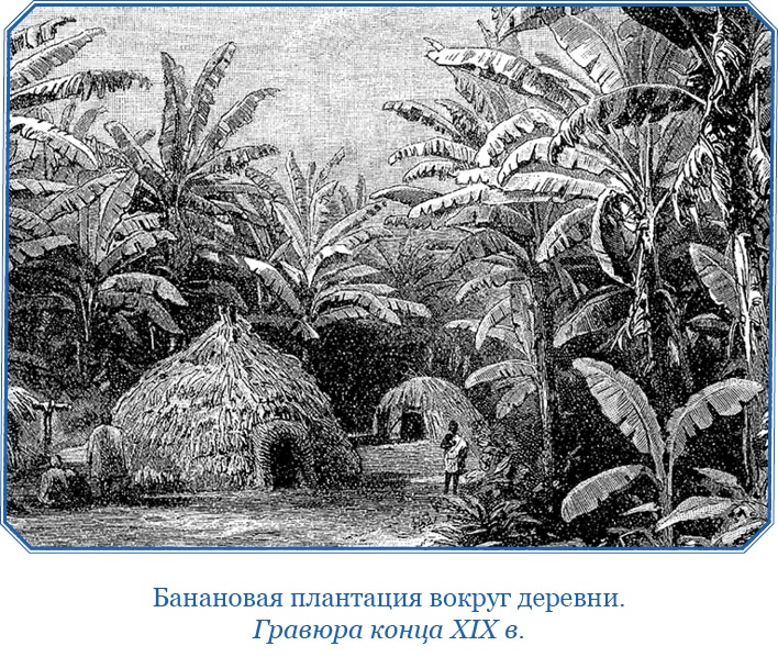 Иллюстрация к книге — Путешествие на берег Маклая [i_152.jpg]