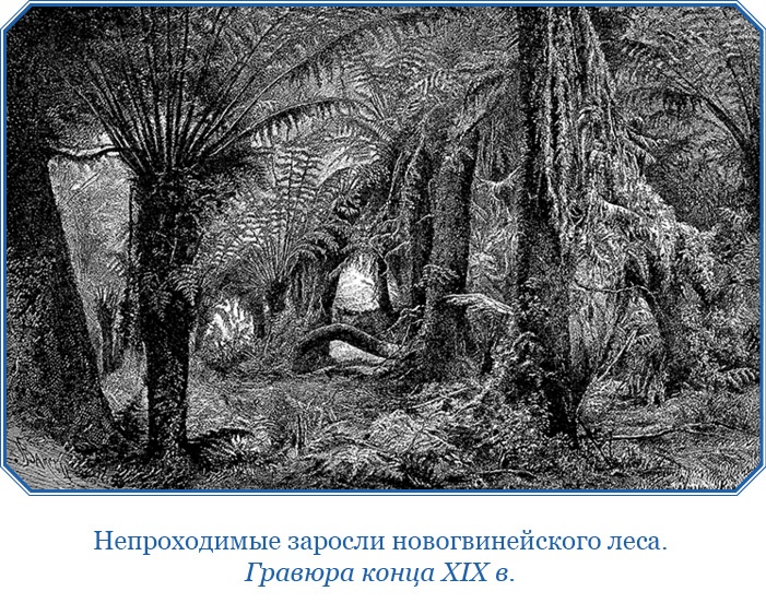 Иллюстрация к книге — Путешествие на берег Маклая [i_174.jpg]