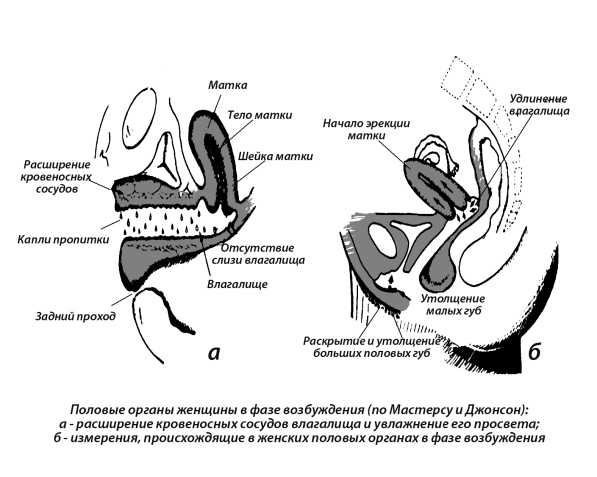 Иллюстрация к книге — 7 минут до оргазма. Книга-тренинг [image14.jpg]