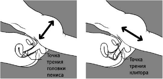 Иллюстрация к книге — 7 минут до оргазма. Книга-тренинг [image22.jpg]