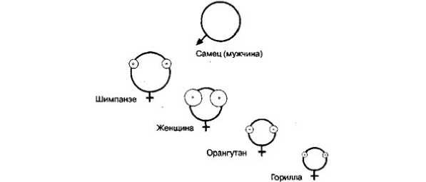 Иллюстрация к книге — 7 минут до оргазма. Книга-тренинг [image6.jpg]