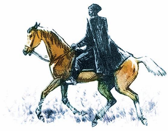 Иллюстрация к книге — Московская битва.1941-1942 [i_080.jpg]