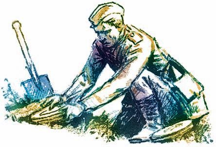 Иллюстрация к книге — Победа под Курском. 1943. Изгнание фашистов. 1943-1944 [i_034.jpg]