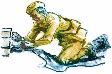 Иллюстрация к книге — Победа под Курском. 1943. Изгнание фашистов. 1943-1944 [i_086.jpg]