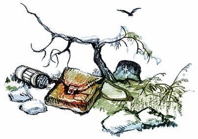 Иллюстрация к книге — Оборона Севастополя. 1941-1943. Сражение за Кавказ. 1942-1944 [i_096.jpg]