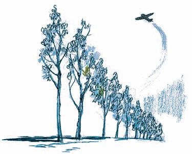 Иллюстрация к книге — Оборона Севастополя. 1941-1943. Сражение за Кавказ. 1942-1944 [i_115.jpg]