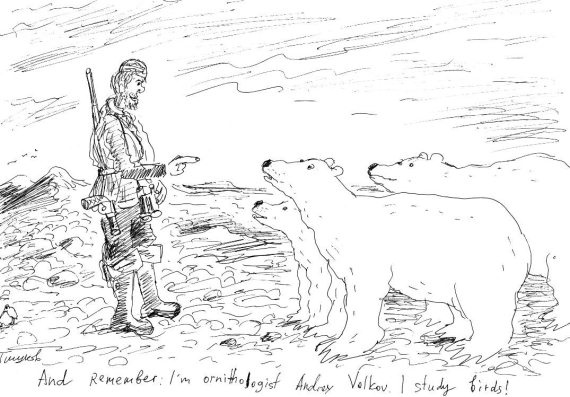 Иллюстрация к книге — Гуд бай, Арктика!.. [i_023.jpg]