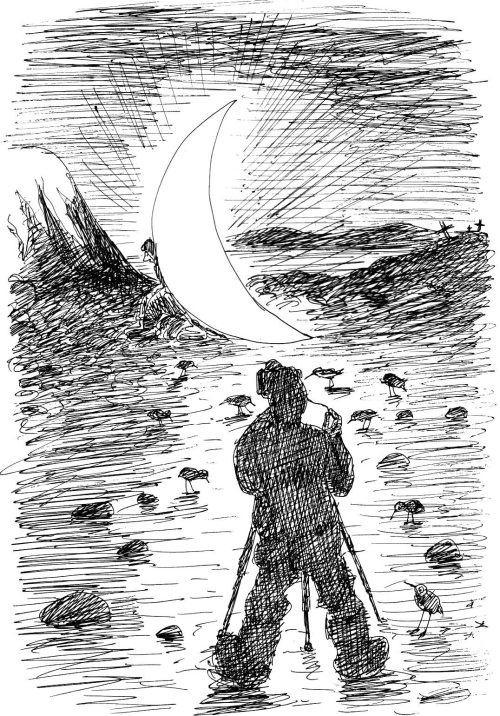 Иллюстрация к книге — Гуд бай, Арктика!.. [i_040.jpg]