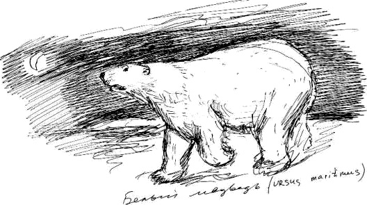 Иллюстрация к книге — Гуд бай, Арктика!.. [i_051.jpg]