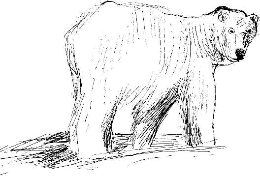 Иллюстрация к книге — Гуд бай, Арктика!.. [i_058.jpg]