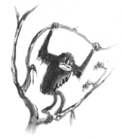 Иллюстрация к книге — Дорога на Аннапурну [i_016.jpg]