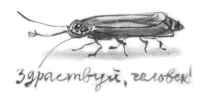 Иллюстрация к книге — Дорога на Аннапурну [i_025.jpg]