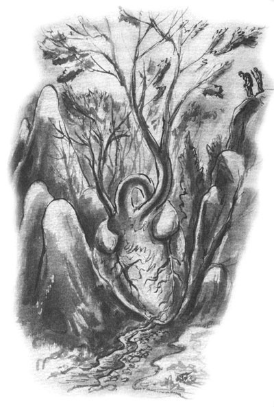 Иллюстрация к книге — Дорога на Аннапурну [i_041.jpg]