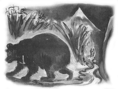 Иллюстрация к книге — Дорога на Аннапурну [i_044.jpg]