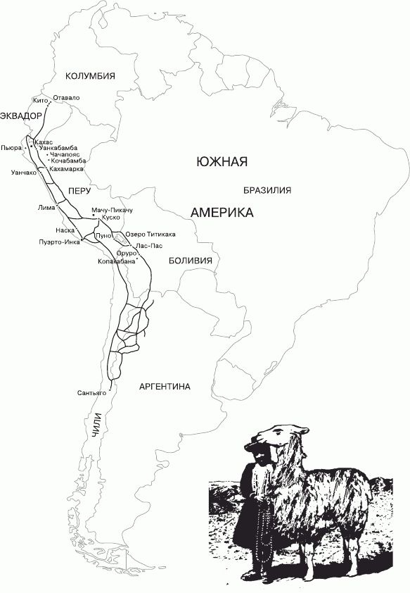 Иллюстрация к книге — Вкус листьев коки [_01.jpg]