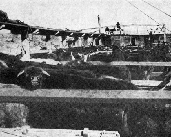 Иллюстрация к книге — Через Сибирь [i_021.jpg]