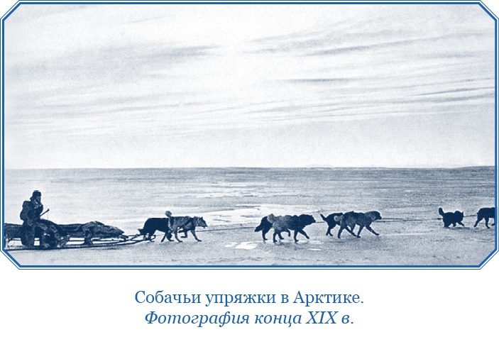 Иллюстрация к книге — «Фрам» в Полярном море [i_006.jpg]