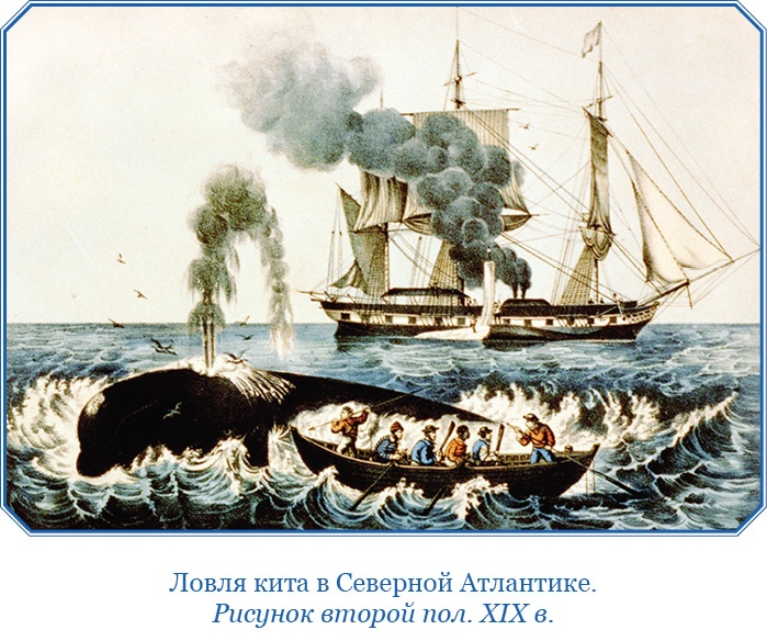 Иллюстрация к книге — «Фрам» в Полярном море [i_009.jpg]