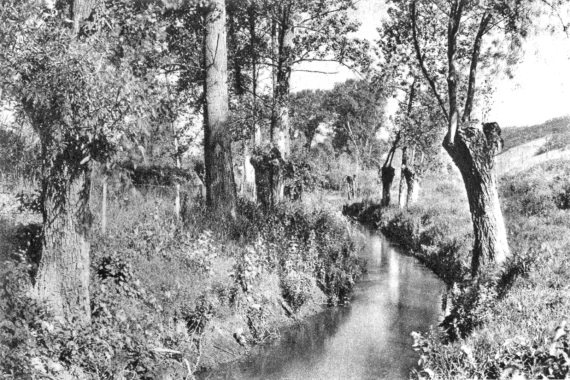 Иллюстрация к книге — Вокруг Парижа с Борисом Носиком. Том 2 [i_031.jpg]