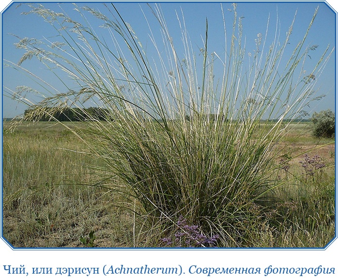 Иллюстрация к книге — Алтай. Монголия. Китай. Тибет. Путешествия в Центральной Азии [i_033.jpg]