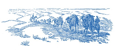 Иллюстрация к книге — Алтай. Монголия. Китай. Тибет. Путешествия в Центральной Азии [i_038.jpg]