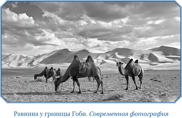 Иллюстрация к книге — Алтай. Монголия. Китай. Тибет. Путешествия в Центральной Азии [i_060.jpg]