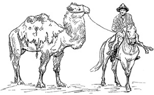 Иллюстрация к книге — Алтай. Монголия. Китай. Тибет. Путешествия в Центральной Азии [i_066.jpg]