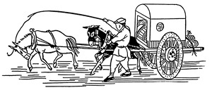 Иллюстрация к книге — Алтай. Монголия. Китай. Тибет. Путешествия в Центральной Азии [i_069.jpg]