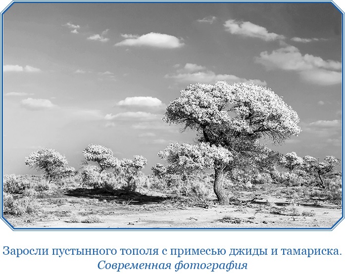 Иллюстрация к книге — Алтай. Монголия. Китай. Тибет. Путешествия в Центральной Азии [i_096.jpg]