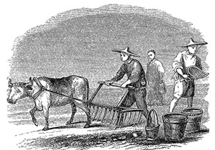 Иллюстрация к книге — Алтай. Монголия. Китай. Тибет. Путешествия в Центральной Азии [i_127.jpg]