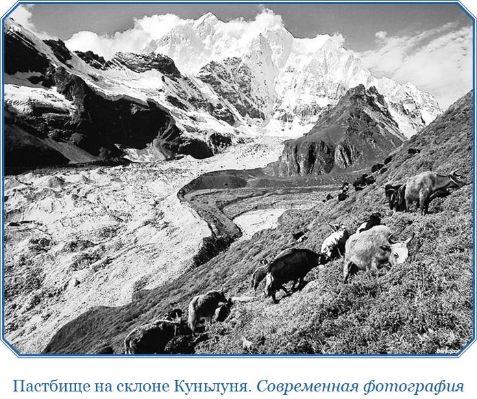 Иллюстрация к книге — Алтай. Монголия. Китай. Тибет. Путешествия в Центральной Азии [i_134.jpg]