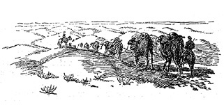 Иллюстрация к книге — Алтай. Монголия. Китай. Тибет. Путешествия в Центральной Азии [i_162.jpg]