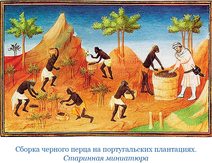 Иллюстрация к книге — Путешествие Магеллана [i_011.jpg]