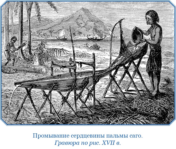 Иллюстрация к книге — Путешествие Магеллана [i_048.jpg]