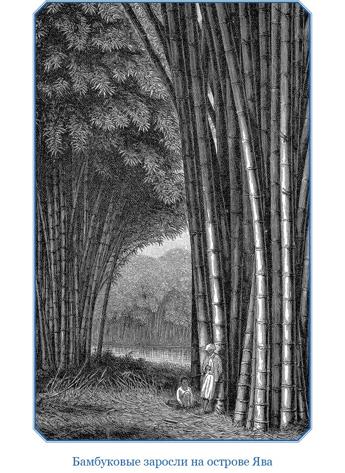 Иллюстрация к книге — Путешествие Магеллана [i_050.jpg]