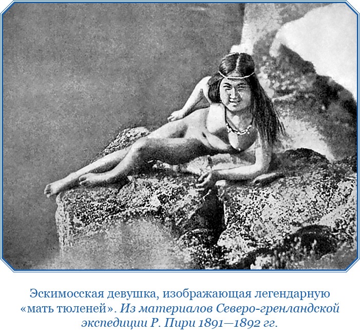 Иллюстрация к книге — По большому льду. Северный полюс [i_075.jpg]