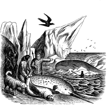 Иллюстрация к книге — По большому льду. Северный полюс [i_096.jpg]