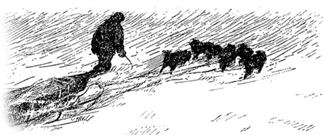 Иллюстрация к книге — По большому льду. Северный полюс [i_104.jpg]