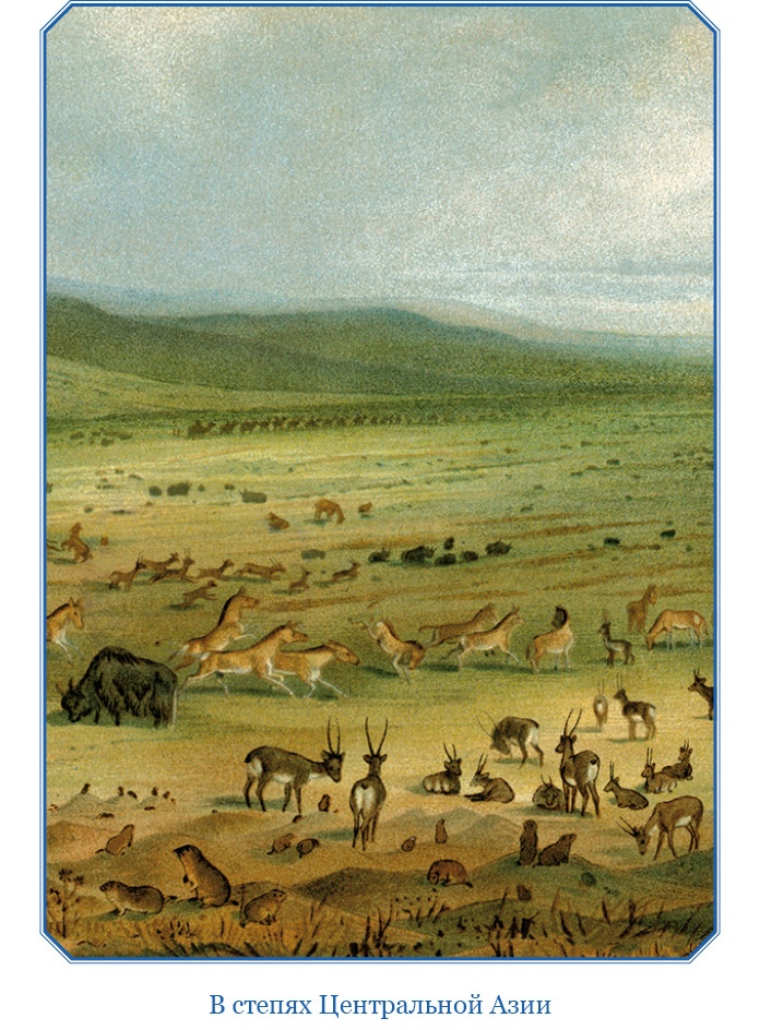 Иллюстрация к книге — Книга чудес света [i_016.jpg]