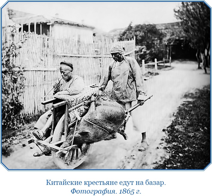 Иллюстрация к книге — Сибирь. Монголия. Китай. Тибет. Путешествия длиною в жизнь [i_040.jpg]