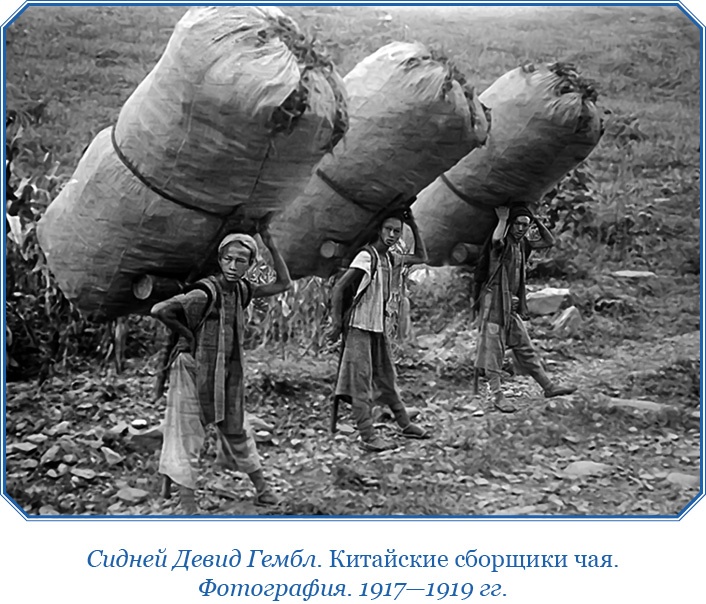 Иллюстрация к книге — Сибирь. Монголия. Китай. Тибет. Путешествия длиною в жизнь [i_041.jpg]